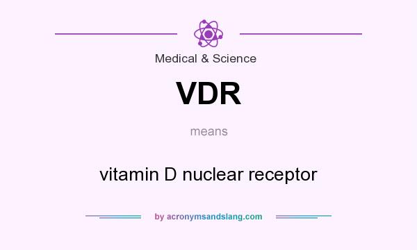 What does VDR mean? It stands for vitamin D nuclear receptor