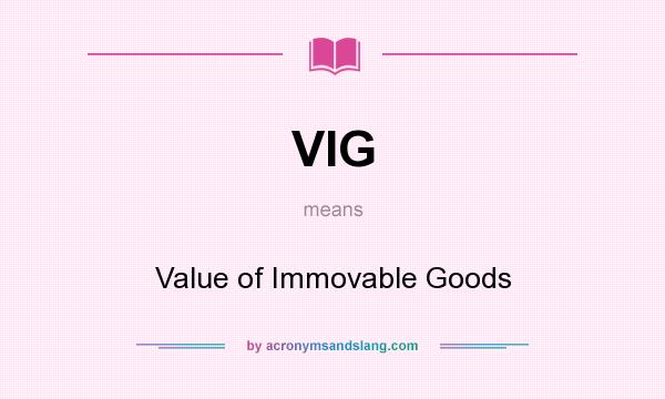 What does VIG mean? It stands for Value of Immovable Goods