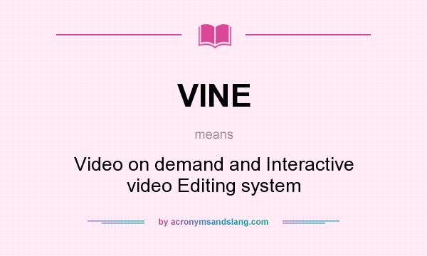 What does VINE mean? It stands for Video on demand and Interactive video Editing system