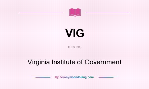 What does VIG mean? It stands for Virginia Institute of Government