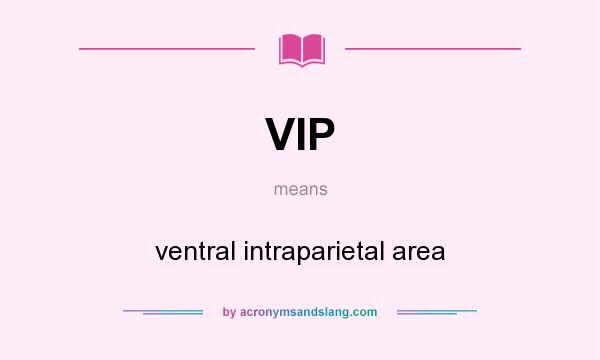 What does VIP mean? It stands for ventral intraparietal area