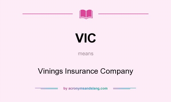 What does VIC mean? It stands for Vinings Insurance Company