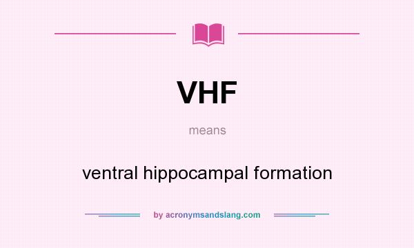 What does VHF mean? It stands for ventral hippocampal formation
