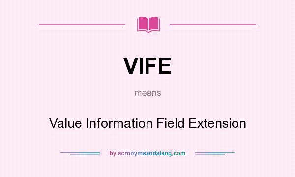 What does VIFE mean? It stands for Value Information Field Extension