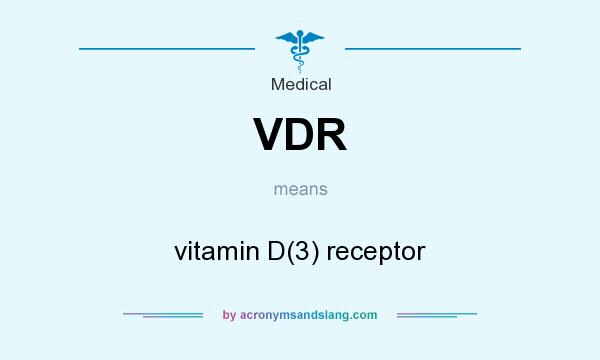 What does VDR mean? It stands for vitamin D(3) receptor