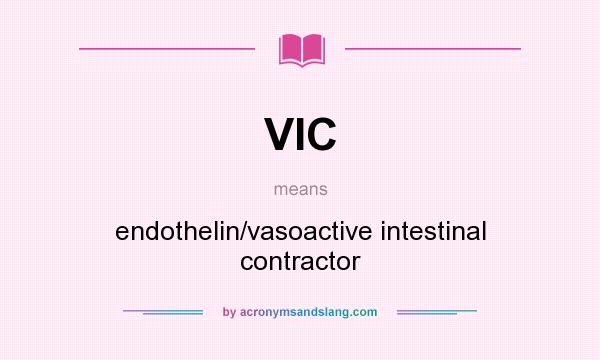 What does VIC mean? It stands for endothelin/vasoactive intestinal contractor