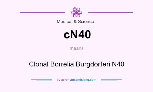 What does cN40 mean? It stands for Clonal Borrelia Burgdorferi N40