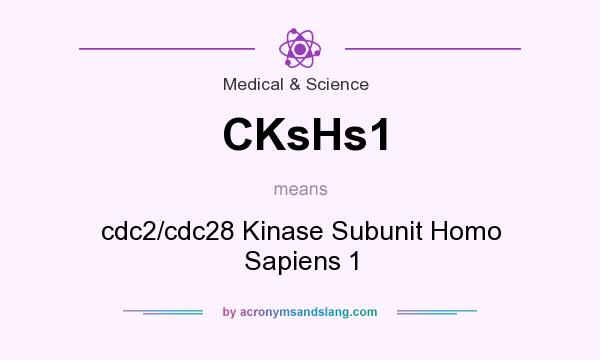 What does CKsHs1 mean? It stands for cdc2/cdc28 Kinase Subunit Homo Sapiens 1