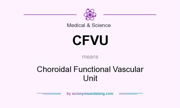 What does CFVU mean? It stands for Choroidal Functional Vascular Unit