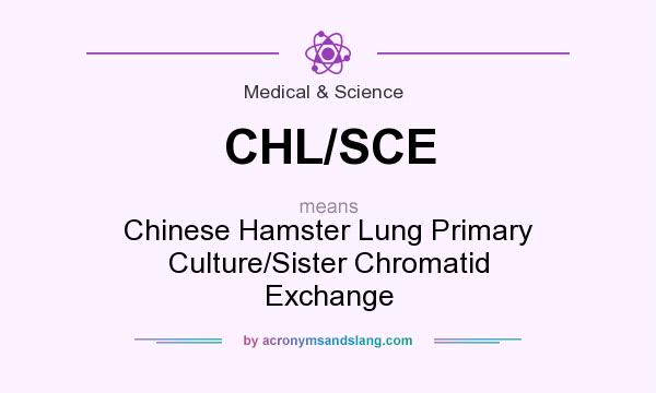 What does CHL/SCE mean? It stands for Chinese Hamster Lung Primary Culture/Sister Chromatid Exchange