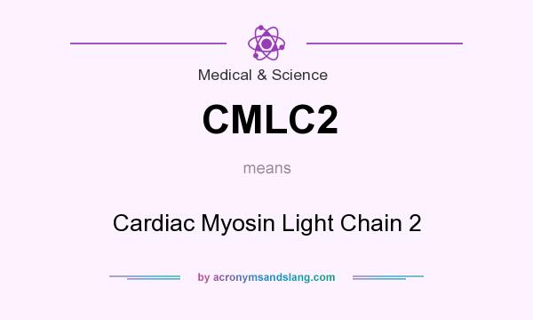 What does CMLC2 mean? It stands for Cardiac Myosin Light Chain 2