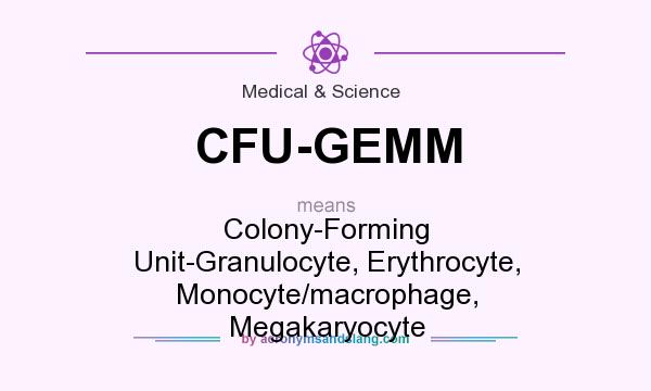 What does CFU-GEMM mean? It stands for Colony-Forming Unit-Granulocyte, Erythrocyte, Monocyte/macrophage, Megakaryocyte