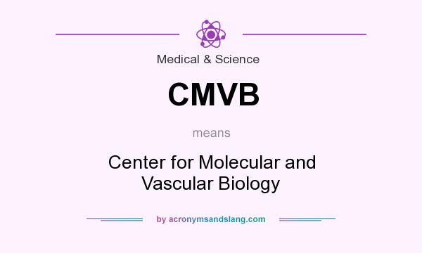 What does CMVB mean? It stands for Center for Molecular and Vascular Biology