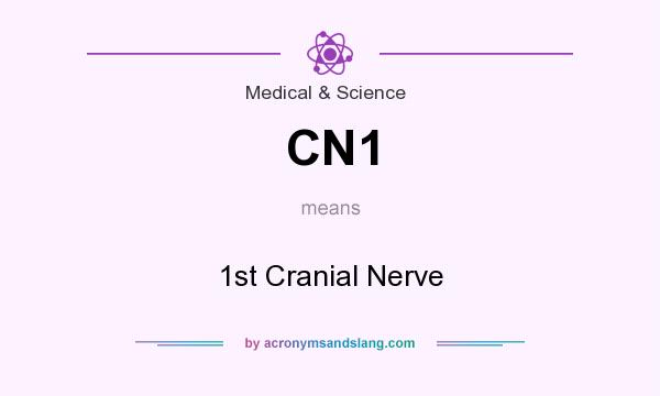What does CN1 mean? It stands for 1st Cranial Nerve