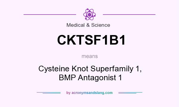 What does CKTSF1B1 mean? It stands for Cysteine Knot Superfamily 1, BMP Antagonist 1