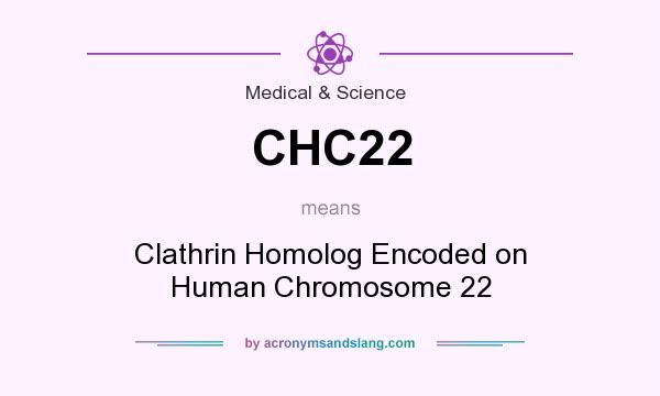 What does CHC22 mean? It stands for Clathrin Homolog Encoded on Human Chromosome 22