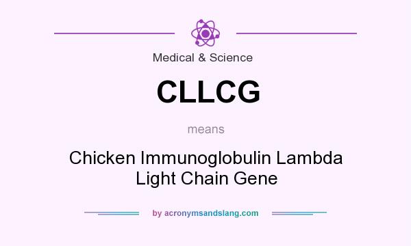 What does CLLCG mean? It stands for Chicken Immunoglobulin Lambda Light Chain Gene