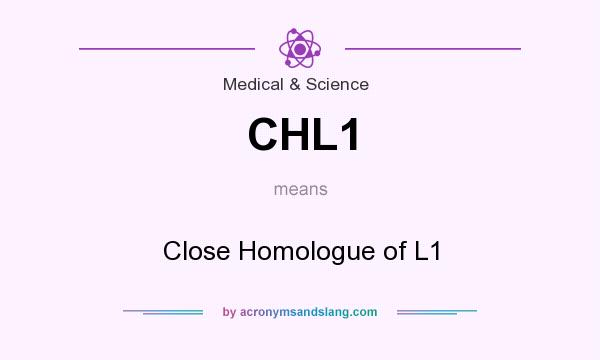 What does CHL1 mean? It stands for Close Homologue of L1