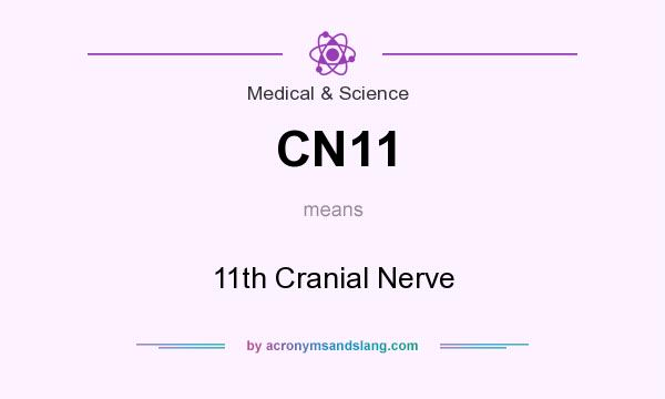 What does CN11 mean? It stands for 11th Cranial Nerve