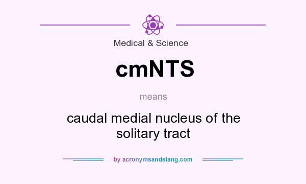 What does cmNTS mean? It stands for caudal medial nucleus of the solitary tract