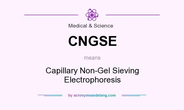 What does CNGSE mean? It stands for Capillary Non-Gel Sieving Electrophoresis