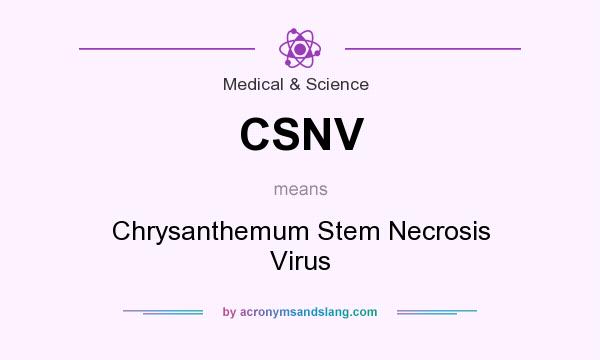 What does CSNV mean? It stands for Chrysanthemum Stem Necrosis Virus