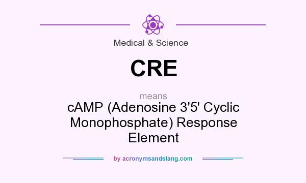 What does CRE mean? It stands for cAMP (Adenosine 3`5` Cyclic Monophosphate) Response Element