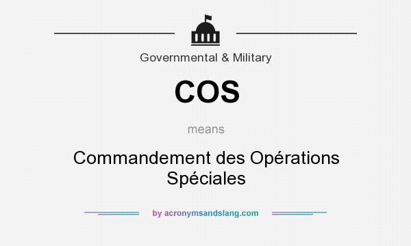 What does COS mean? It stands for Commandement des Opérations Spéciales