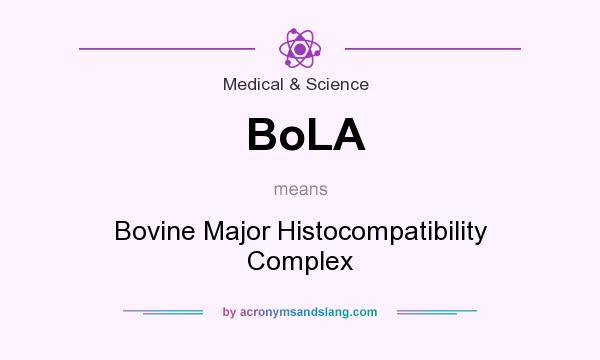 What does BoLA mean? It stands for Bovine Major Histocompatibility Complex