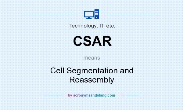 What does CSAR mean? It stands for Cell Segmentation and Reassembly