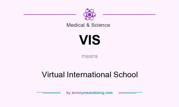 What does VIS mean? It stands for Virtual International School