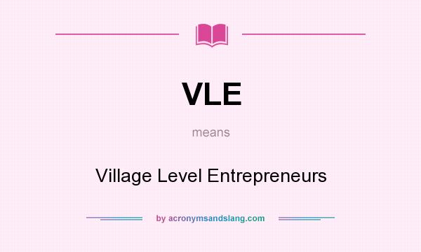 What does VLE mean? It stands for Village Level Entrepreneurs