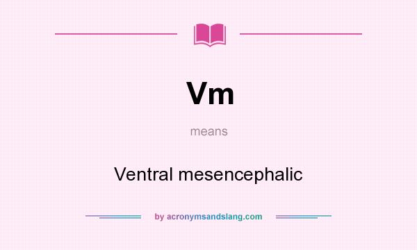 What does Vm mean? It stands for Ventral mesencephalic