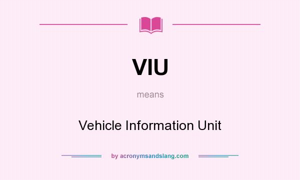 What does VIU mean? It stands for Vehicle Information Unit