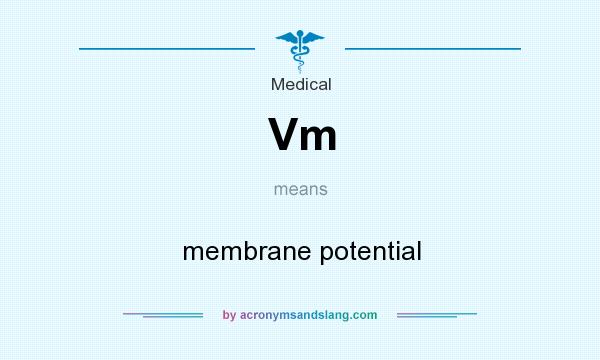 What does Vm mean? It stands for membrane potential