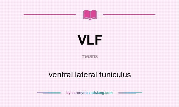 What does VLF mean? It stands for ventral lateral funiculus