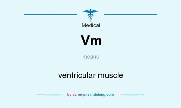 What does Vm mean? It stands for ventricular muscle