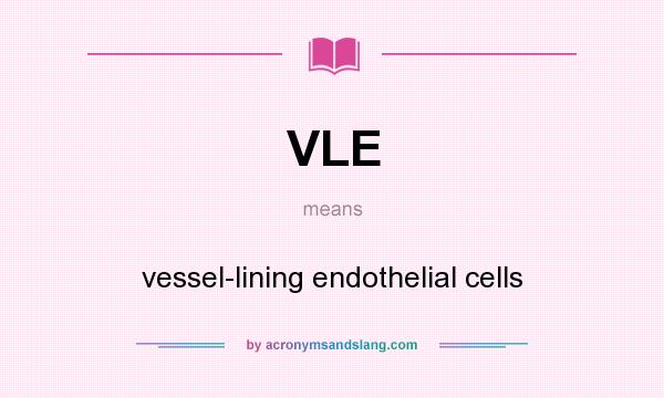 What does VLE mean? It stands for vessel-lining endothelial cells