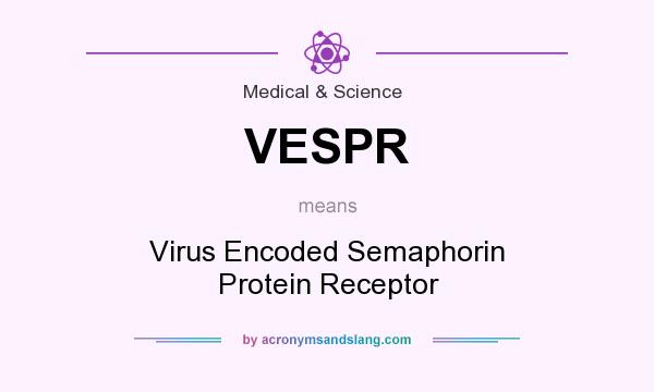 What does VESPR mean? It stands for Virus Encoded Semaphorin Protein Receptor