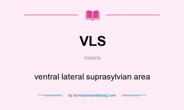 What does VLS mean? It stands for ventral lateral suprasylvian area