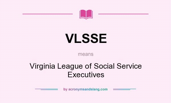 What does VLSSE mean? It stands for Virginia League of Social Service Executives