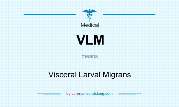 What does VLM mean? It stands for Visceral Larval Migrans