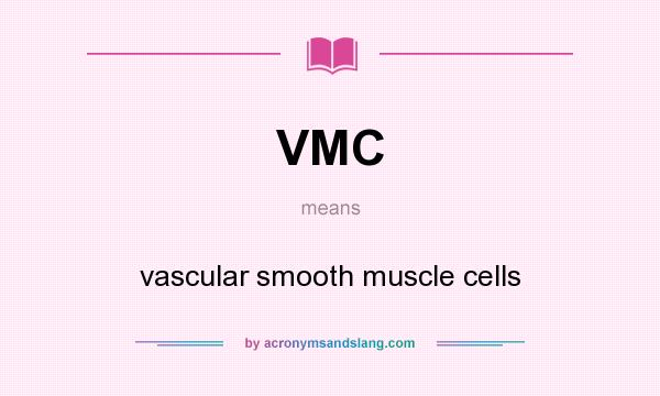 What does VMC mean? It stands for vascular smooth muscle cells