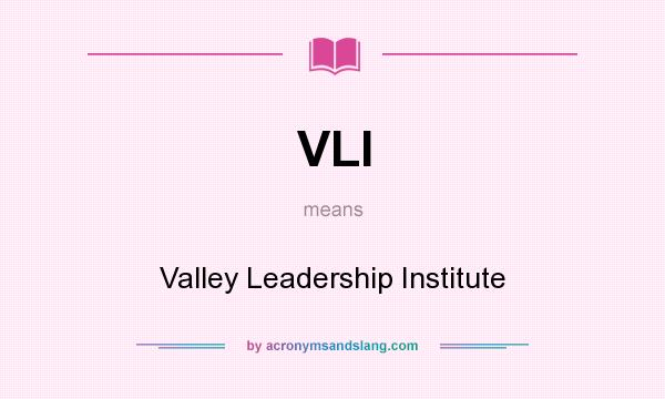 What does VLI mean? It stands for Valley Leadership Institute