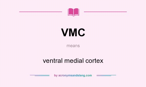 What does VMC mean? It stands for ventral medial cortex