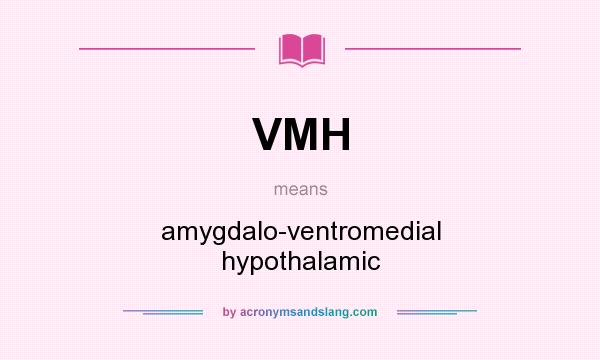 What does VMH mean? It stands for amygdalo-ventromedial hypothalamic