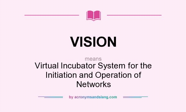 What does VISION mean? It stands for Virtual Incubator System for the Initiation and Operation of Networks