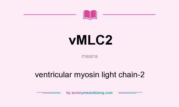 What does vMLC2 mean? It stands for ventricular myosin light chain-2
