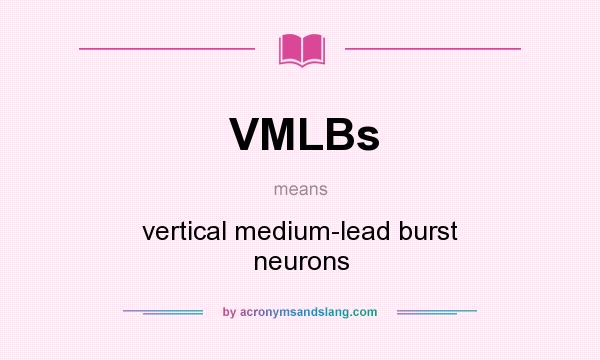 What does VMLBs mean? It stands for vertical medium-lead burst neurons