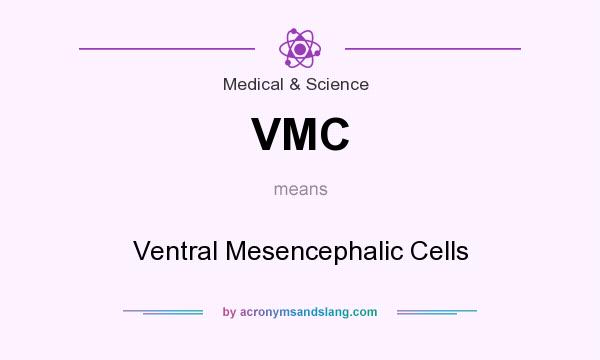 What does VMC mean? It stands for Ventral Mesencephalic Cells